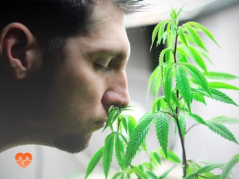 Детоксикация от марихуаны в Вельске